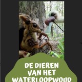 De dieren van het Waterloopwoud algemene flyer 2023 e