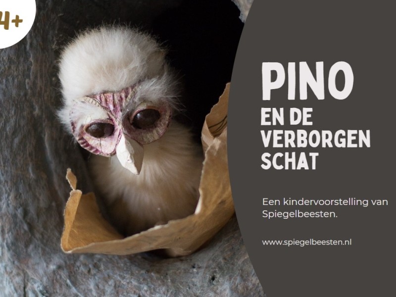 PINO en de verborgen schat