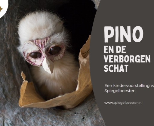 PINO en de verborgen schat