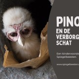 PINO en de verborgen schat