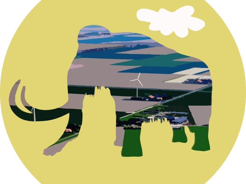 Oer Flevoland-01