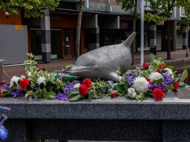 Oorlogsmonument De Dolfijn 4,5 comite foto site