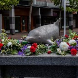 Oorlogsmonument De Dolfijn 4,5 comite foto site