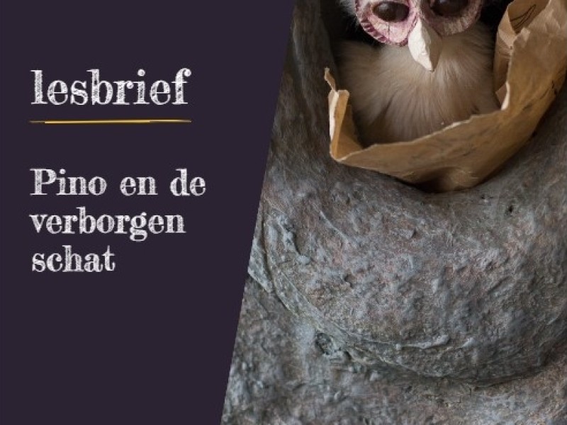 lesbrief Pino en de verborgen schat