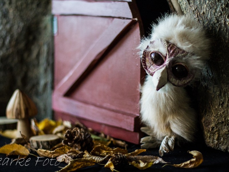Pino, foto Fearke 4